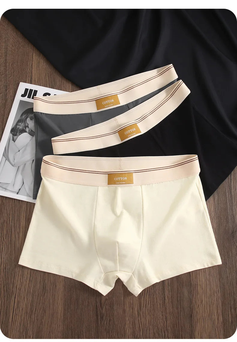 Kit com 1 ou 3 Unidades de Cuecas Boxer Masculinas em Algodão
