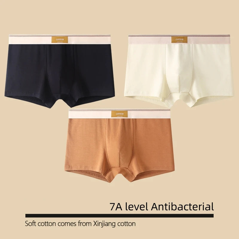 Kit com 1 ou 3 Unidades de Cuecas Boxer Masculinas em Algodão