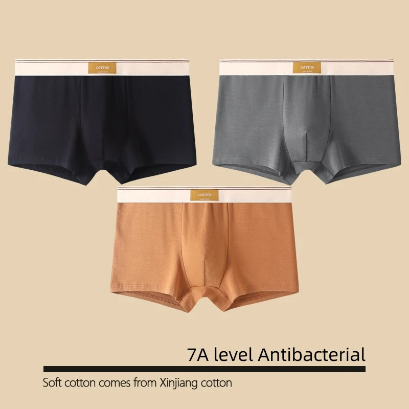 Kit com 1 ou 3 Unidades de Cuecas Boxer Masculinas em Algodão