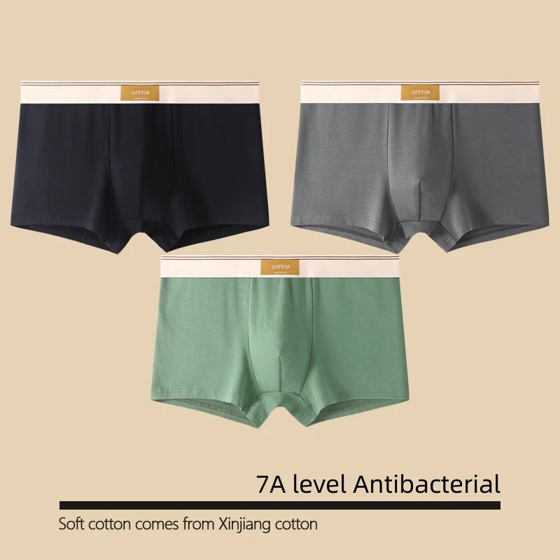 Kit com 1 ou 3 Unidades de Cuecas Boxer Masculinas em Algodão