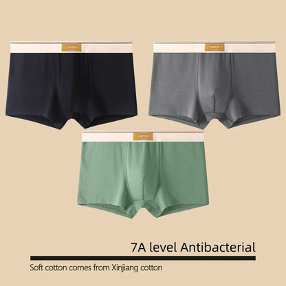 Kit com 1 ou 3 Unidades de Cuecas Boxer Masculinas em Algodão