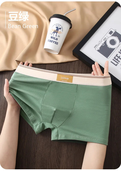 Kit com 1 ou 3 Unidades de Cuecas Boxer Masculinas em Algodão