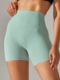 Shorts Feminino Fitness Cintura Alta Squat Proof Secagem Rápida