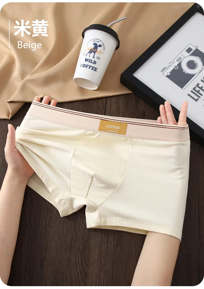 Kit com 1 ou 3 Unidades de Cuecas Boxer Masculinas em Algodão