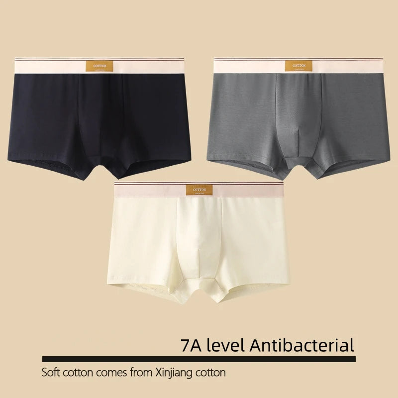Kit com 1 ou 3 Unidades de Cuecas Boxer Masculinas em Algodão