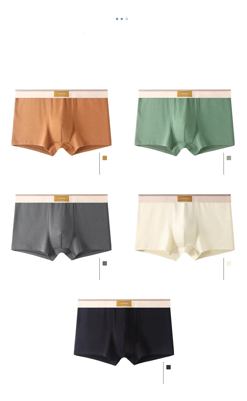 Kit com 1 ou 3 Unidades de Cuecas Boxer Masculinas em Algodão