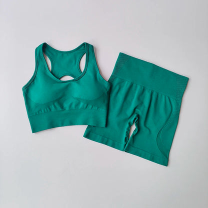 Conjunto Fitness Seamless 2 Peças Top e Shorts Cintura Alta