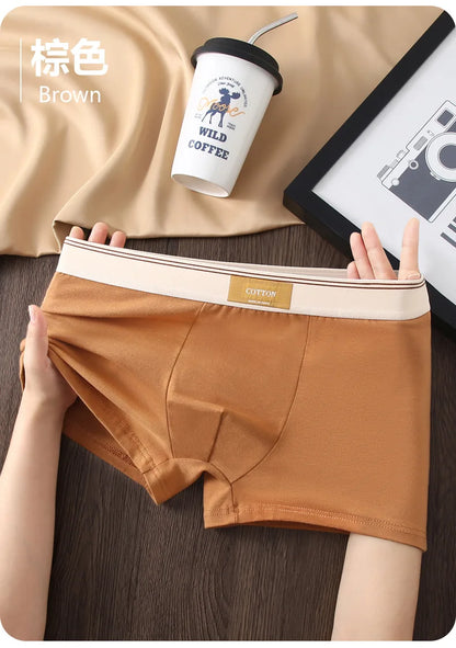 Kit com 1 ou 3 Unidades de Cuecas Boxer Masculinas em Algodão