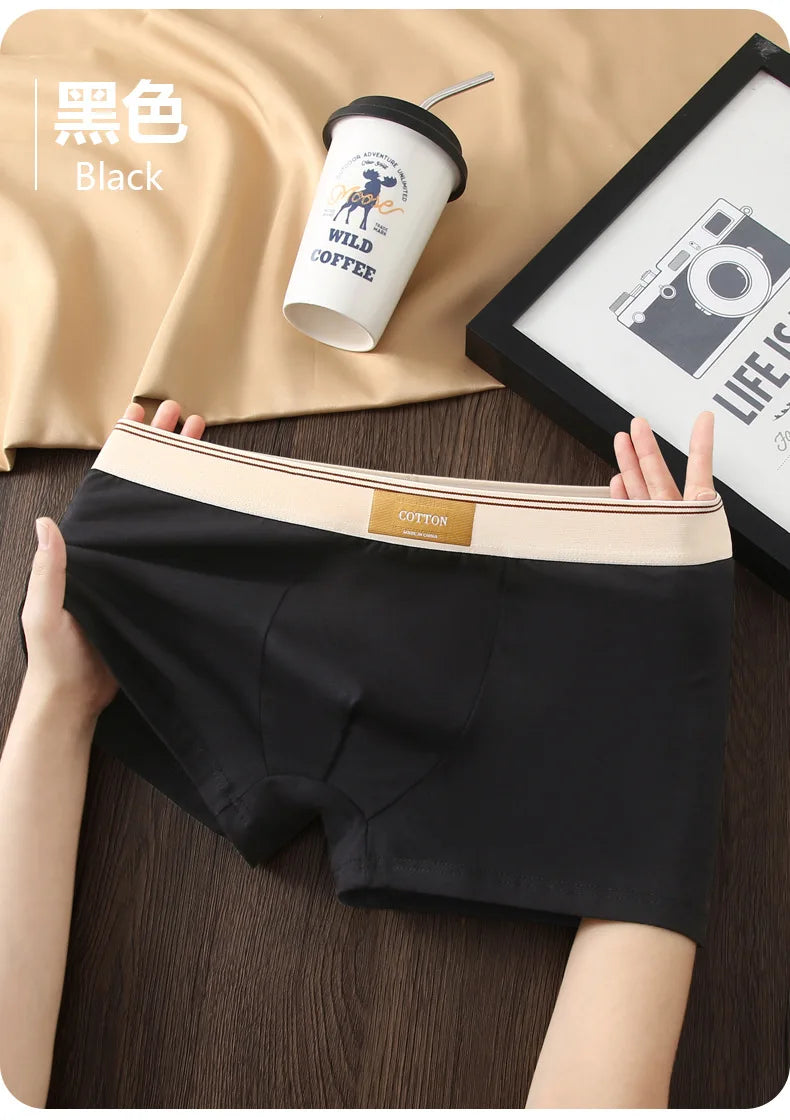 Kit com 1 ou 3 Unidades de Cuecas Boxer Masculinas em Algodão