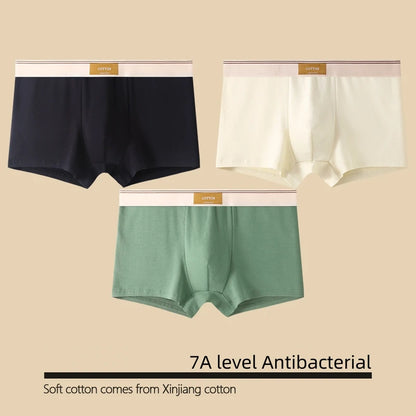 Kit com 1 ou 3 Unidades de Cuecas Boxer Masculinas em Algodão
