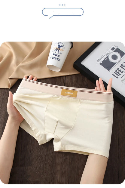 Kit com 1 ou 3 Unidades de Cuecas Boxer Masculinas em Algodão