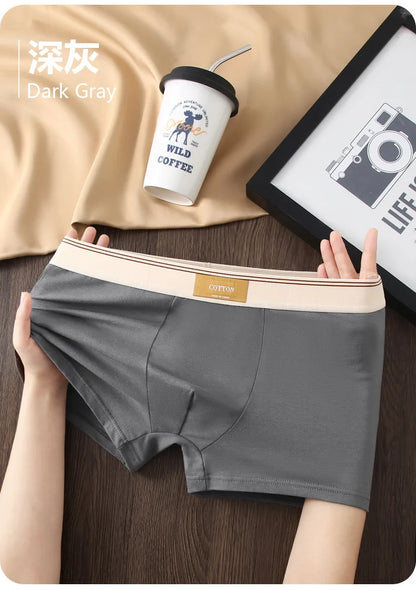 Kit com 1 ou 3 Unidades de Cuecas Boxer Masculinas em Algodão