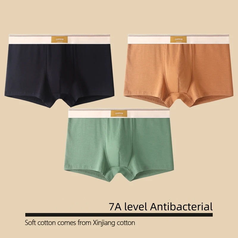 Kit com 1 ou 3 Unidades de Cuecas Boxer Masculinas em Algodão