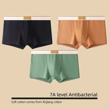 Kit com 1 ou 3 Unidades de Cuecas Boxer Masculinas em Algodão