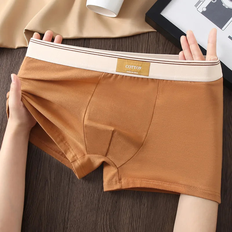 Kit com 1 ou 3 Unidades de Cuecas Boxer Masculinas em Algodão
