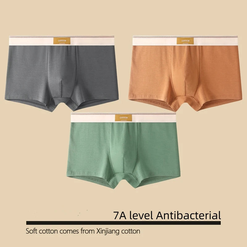 Kit com 1 ou 3 Unidades de Cuecas Boxer Masculinas em Algodão