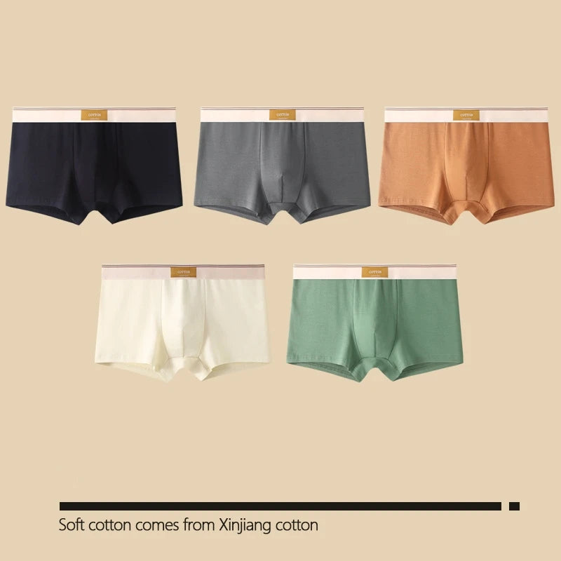 Kit com 1 ou 3 Unidades de Cuecas Boxer Masculinas em Algodão