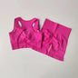 Conjunto Fitness Seamless 2 Peças Top e Shorts Cintura Alta