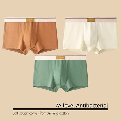 Kit com 1 ou 3 Unidades de Cuecas Boxer Masculinas em Algodão